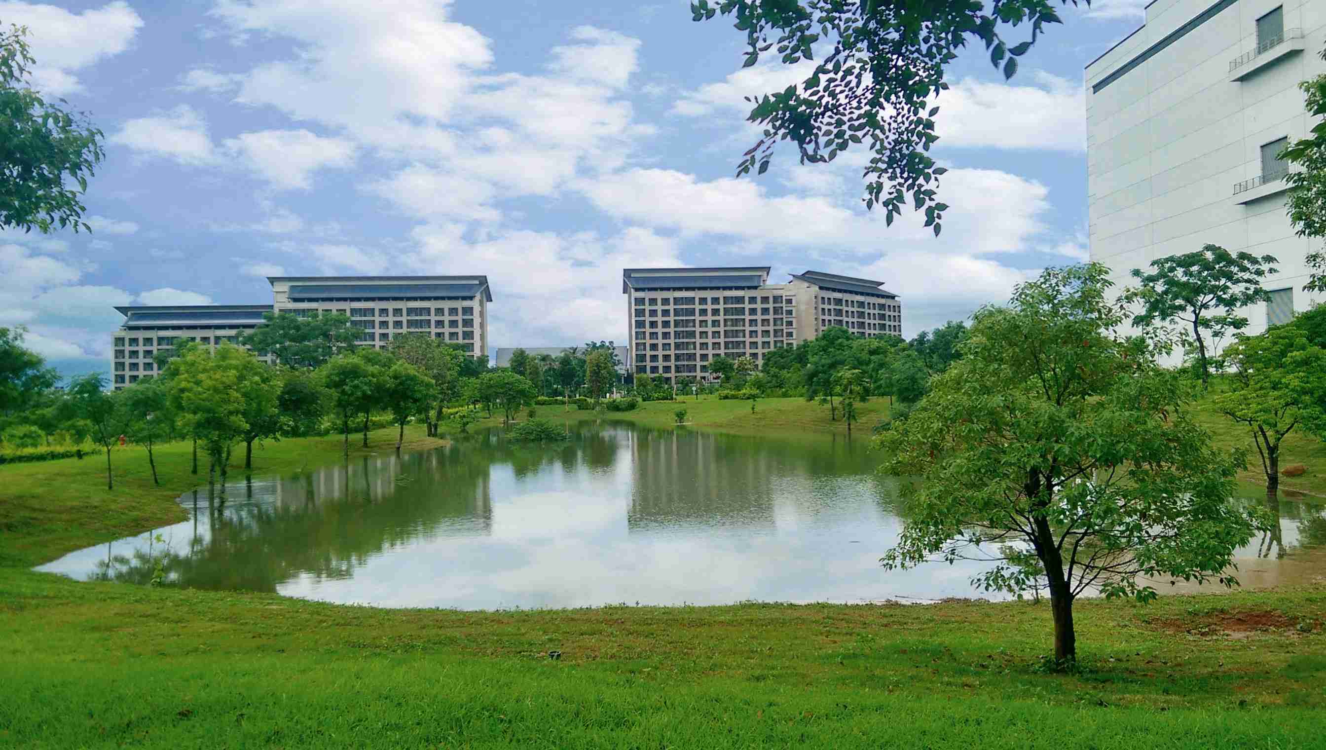 森林舞会响应国际倡议生物多样性趋势，，，，首次发布TNFD自然相关财务揭露报告书，，，擘划及开展森林舞会生物多样性政策之承诺，，，逐步迈向与自然和谐共生